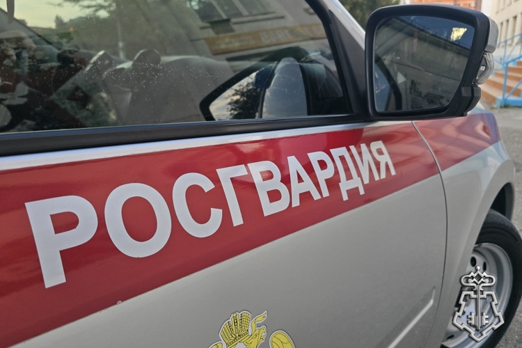 В Дагестане росгвардейцы обеспечили правопорядок на футбольном матче Кубка России