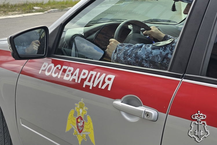 В Дагестане росгвардейцы вернули матери потерявшегося ребенка